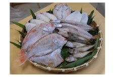 特選！！豪華盛り合わせ♪干物特大セット 魚介類 魚貝類 干物 干もの セット 干物セット のどぐろ ノドグロ カレイ かれい 蓮子鯛 イカ いか アカムツ 【033_1778】