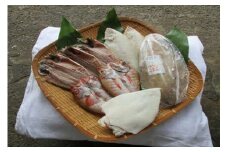 【訳あり品付き】じゅわっと！とろける♪絶品のどぐろと選べる干物セット 魚介類 魚貝類 魚 干物 干もの のどぐろ アカムツ 選べる カレイ 蓮子鯛 【176_1783】