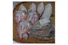 【訳あり品付き】旬の物！干物おまかせセット 魚介類 魚貝類 魚 干物 旬 おまかせ セット のどぐろ 4種 アカムツ 【176_1780】