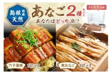 あなご2種セット 魚介類 魚 穴子 蒲焼き 煮穴子 セット 食べ比べ 【156_2012】