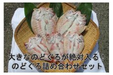 大きなのどぐろが絶対入る！のどぐろ詰め合わせセット のどぐろ 魚介 おかず おつまみ 大容量 たっぷり のどぐろ アカムツ 干物 【176_1782】