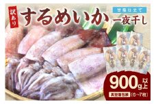 【訳あり】するめいか一夜干し 6～7枚 計900g 魚介類 いか するめいか 一夜干し 加工品 おつまみ 訳あり 【136_1988】