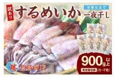 【訳あり】するめいか一夜干し 6～7枚 計900g 魚介類 いか するめいか 一夜干し 加工品 おつまみ 訳あり 【136_1988】