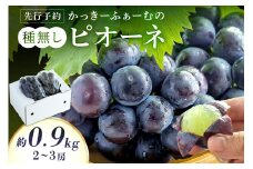 【先行予約】種無しピオーネ 約0.9kg 2～3房《8月下旬頃から発送》 果物 ピオーネ ぶどう 先行予約 【183_1879】