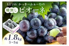 【先行予約】種無しピオーネ 約1.8kg 3～5房《8月下旬頃から発送》 果物 ピオーネ ぶどう 先行予約 【183_1880】