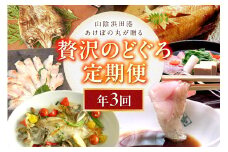 山陰浜田港あけぼの丸が贈る贅沢のどぐろ定期便（3回）魚介 のどぐろ アカムツ 一夜干し 刺し身 のどぐろしゃぶセット セット しゃぶしゃぶ 定期便 定期 3回 【146_2033】