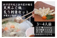 山陰浜田港 天然ふぐ鍋・炙り刺身セット 特製ポン酢付（3～4人前） 魚介 鍋 ふぐ 刺身 たたき セット 鍋セット 鍋料理 海鮮鍋 【146_2034】