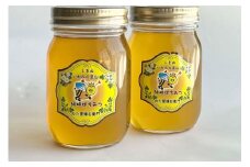 水のきれいな浜田市金城町産「いわみの里山 純粋はちみつ」500g×2本 蜂蜜 ハチミツ 百花蜜 瓶 【184_1904】