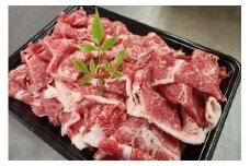 島根和牛切り落とし500g 島根和牛 国産 肉 切り落とし 切り落とし肉 和牛 牛肉 【185_2049】