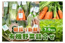 朝採り新鮮！有機野菜セット詰合せ（7～9種類） 採れたて 産地直送 葉物 有機JAS認証 野菜セット 旬の野菜 野菜 【139_1918】