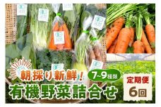朝採り新鮮！有機野菜セット詰合せ（7～9種類）6回コース【定期便】 定期便 採れたて 産地直送 葉物 有機JAS認証 野菜セット 旬の野菜 野菜【139_1920】