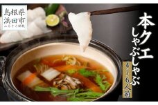 こだわりの出汁つゆで食べる本クエしゃぶしゃぶ4～6人前【10～3月のお届け】 魚介 魚貝類 魚 天然 クエ アラ 鍋 しゃぶしゃぶ 鍋つゆ セット 【005_0132】