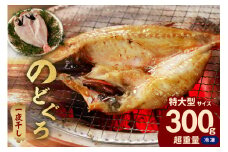 のどぐろ一夜干し個包装1枚 「超希少サイズ・特大型300g超重量」 ＜10月以降順次発送＞アカムツ 産地直送 干物 魚 一夜干し 人気 大きい 天然 ボリューム ノドグロ 【005_0130】