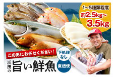 この男に任せてみませんか～浜田の旨い鮮魚直送便（下処理なし）～ 海鮮 鮮魚 詰め合わせ セット おまかせ 旬 直送便 人気 お取り寄せ 【006_2048】