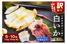【訳アリ】白いか一夜干し （70g～150gｘ6～10枚） 訳アリ 小分け いか 白いか 無添加 個包装 一夜干し 産地直送 【136_1984】