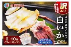 【訳アリ】白いか一夜干し （70g～150gｘ6～10枚） 訳アリ 小分け いか 白いか 無添加 個包装 一夜干し 産地直送 【136_1984】