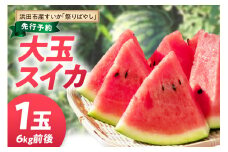 【先行予約】浜田市三隅町産の硬くて歯ごたえのある甘い大玉スイカ1玉（6kg前後）〈2025年7月中旬から発送〉 【113_2064】