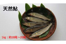 【先行予約】八戸川 天然鮎（1kg）＜2025年6月10日よりお届け＞ 先行予約 魚 川魚 あゆ 天然 【192_2002】