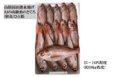 山陰浜田港水揚げ 幻の高級魚のどぐろ（鮮魚）ひと箱 魚 のどぐろ アカムツ 鮮魚 【006_2049】