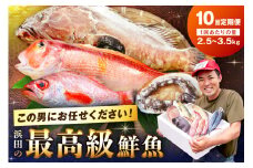 【定期便】どんちっち浜田【至高】の鮮魚 10回～最高級この男シリーズ～ 【006_2052】