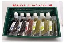 島根はまだから ぶどうのジャムとゼリー5種 加工品 スイーツ ジャム ゼリー 果物 フルーツ ぶどう 【032_2095】
