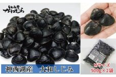 【神西湖産】プリプリ！冷凍砂抜きしじみ　Mサイズ/500g×2袋