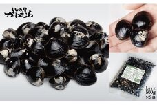 【宍道湖産】プリプリ！冷凍砂抜きしじみ　Lサイズ/500g×2袋