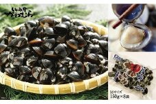 プリプリ！宍道湖産冷凍砂抜大和しじみMサイズ150g×8袋