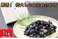 厳選特大しじみ詰め合わせ