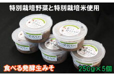 出雲の食べる発酵生みそ250ｇ×５個