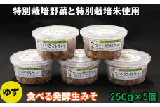 出雲のゆず入り食べる発酵生みそ250ｇ×５個