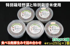 出雲の食べる発酵生みそ詰合せ250ｇ×５個