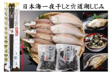 日本海一夜干しと宍道湖しじみ（しめ縄干支箸付）