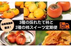 【定期便】【柿専業の農家が作る】3種の採れたて柿とスイーツセット