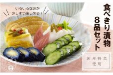 食べきり漬物8品セット