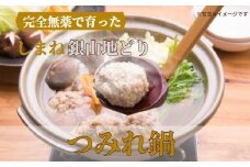 完全無薬で育った 銀山地どりの『つみれ鍋』2～3人前