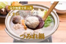 完全無薬で育った 銀山地どりの『つみれ鍋』4～5人前