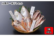 出雲の一夜干しセット
