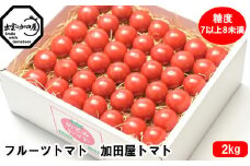 フルーツトマト【出雲の加田屋】加田屋トマト糖度7以上8未満