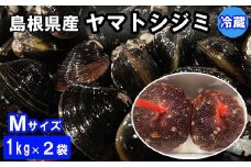 日本一！しまねのヤマトシジミ！Мサイズ