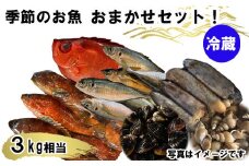 季節のおさかな、おまかせセット！3K相当