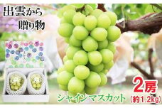 [農家直送]厳選シャインマスカット1.2kg箱[持田農園]