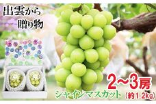 [農家直送]厳選シャインマスカット1.2kg箱[持田農園]