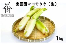 出雲國マコモタケ（生） 1kg 出雲市産