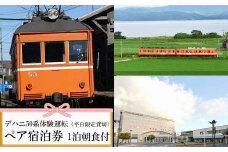 デハニ50系体験運転（平日限定貸切）ツインリーブスホテル出雲　宿泊券（２名一室　１泊朝食付）