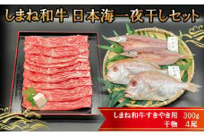 しまね和牛肉・日本海一夜干しセット