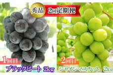 【2回定期便】【農家直送】厳選シャインマスカットとブラックビートの定期便