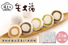 みまつの生大福詰め合わせ　30個セット