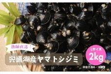 漁師直送！宍道湖産ヤマトシジミ・Lサイズ冷凍2kg
