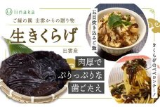 出雲市産生きくらげ